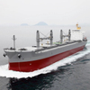 Double Hull Customized Bulk Carrier With Crane 