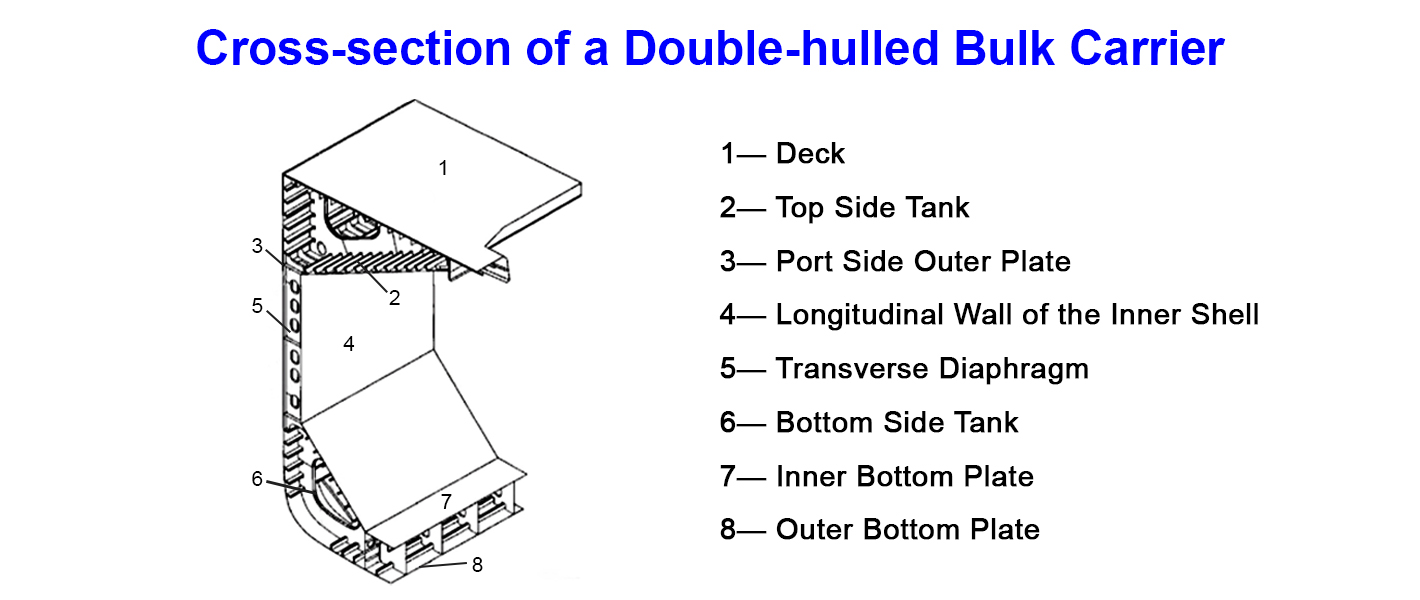 Cross-section of a Double-hulled Bulk Carrier