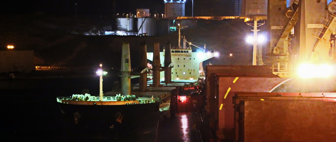 Bulk carriers equipped with emergency lights