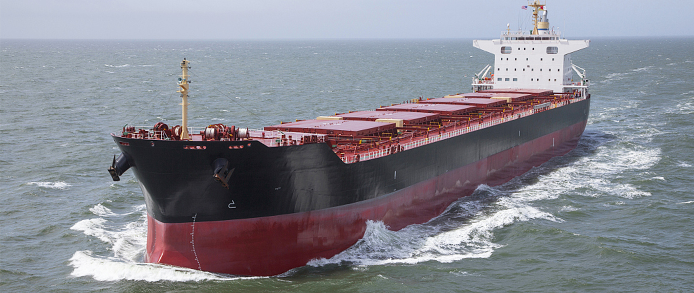 bulk carrier-4