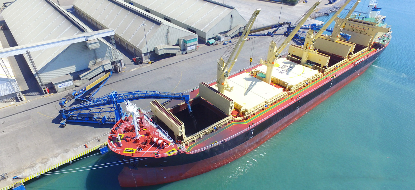 Dry bulk carriers