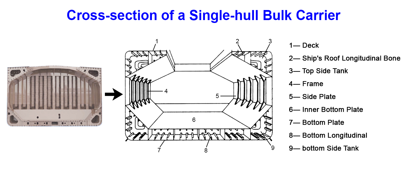 Cross-section of a Single-hull Bulk Carrier