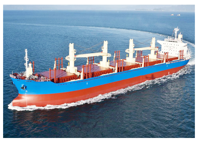 What is a Self Discharging Bulk Carrier?