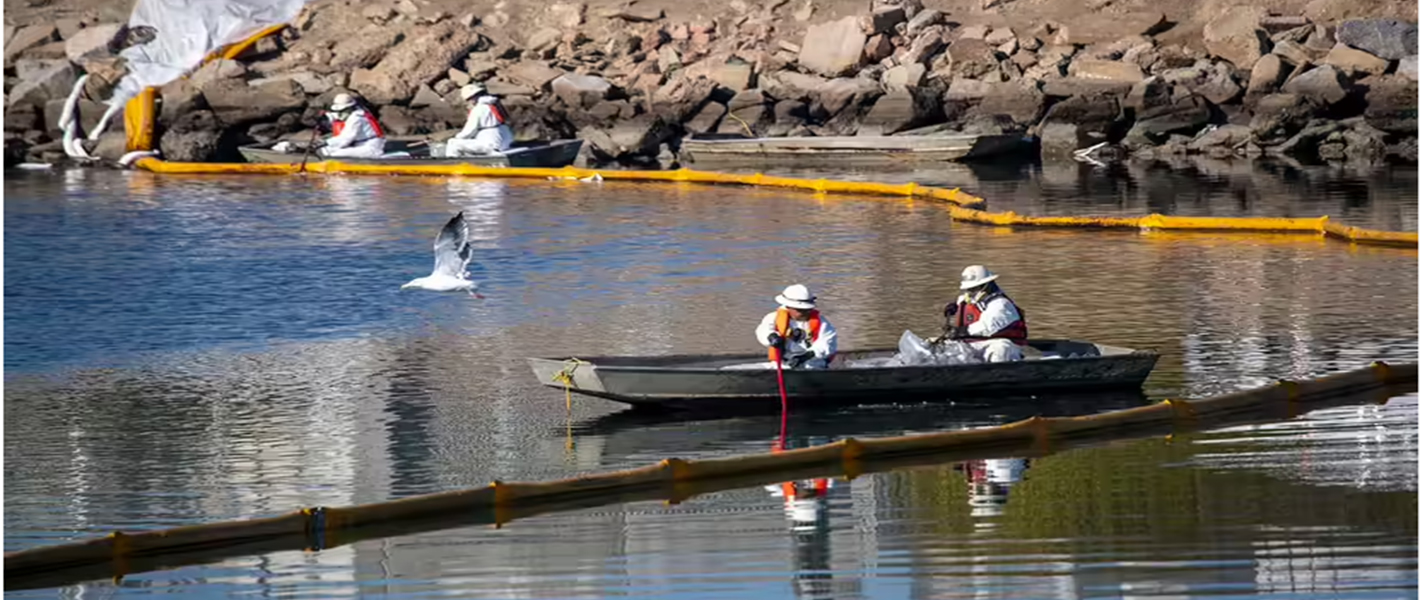 Staff cleaning up oil