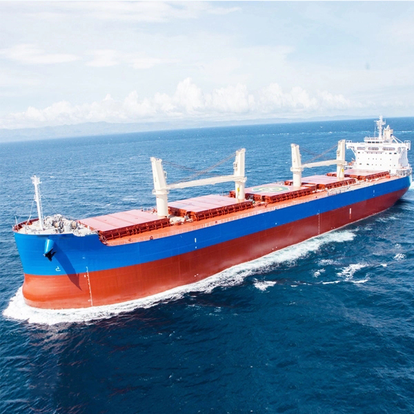 What are the advantages and disadvantages of bulk carriers?