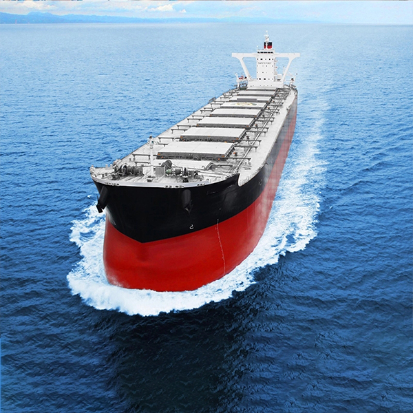 How many tons can a bulk carrier carry?