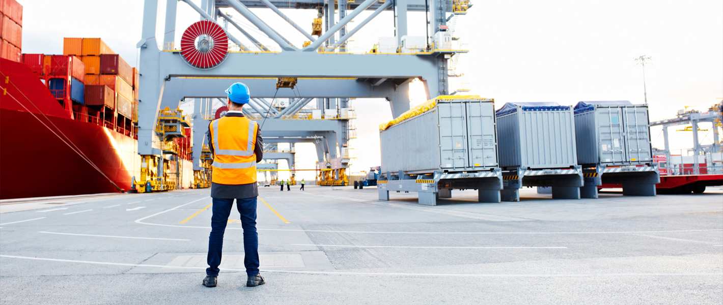 Container ship terminal inspections